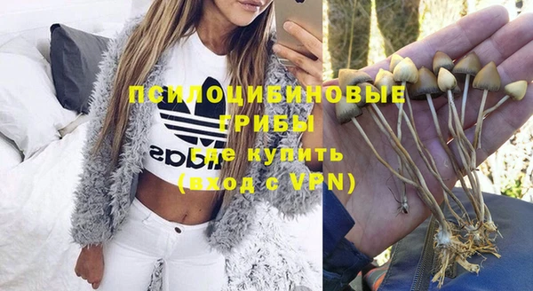 apvp Зеленодольск