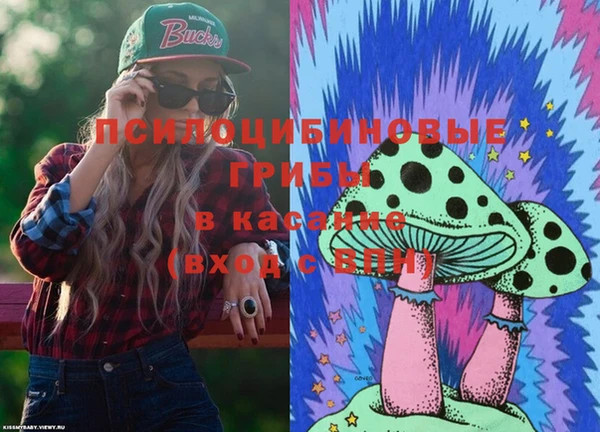 apvp Зеленодольск