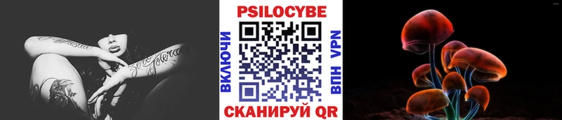 Галлюциногенные грибы Psilocybe Касимов